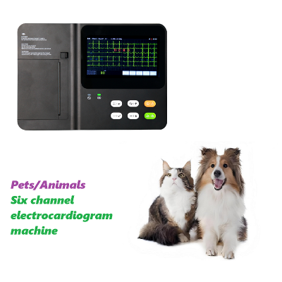 Pet ECG