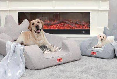All-Seasons Crown Pet Bed mit Kissen und Decke