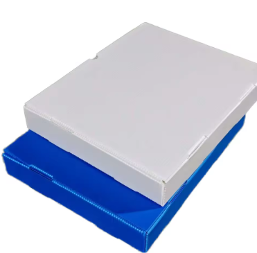 Customized PP Hollow Sheet Foldable Gift Box – Durable, Waterproof, Eco-Friendly