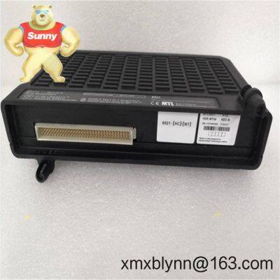 GE PAC8000 8521-HC-MT – HART Maintenance Access for Remote Field I/O photo-2