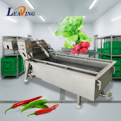 Automatic Stainless Steel Vegetable Fruit Washer 800KG/H Tomato Carrot Washing Machine Commercial Fruit and Vegetable Machine
