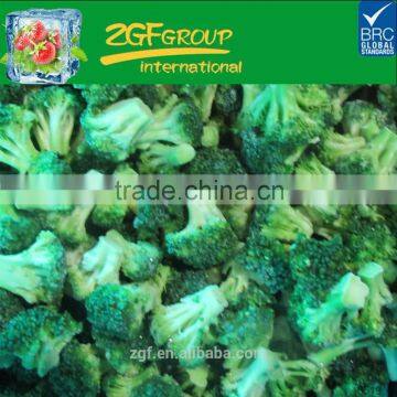 New Season deep freeze iqf vegetable frozen broccoli bulk packing