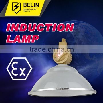 Waterproof and dustproof anticorrosive factory lamp without maintenance