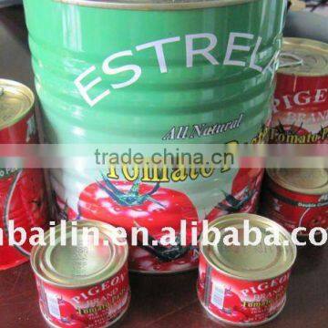 3000g canned tomato sauce/ tomato puree manufacturer for nigeria healthy food