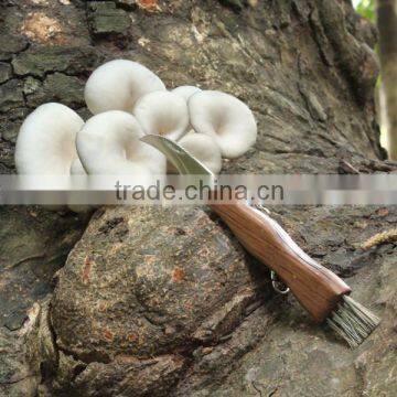 4.45" Closed Folding Stainlss Steel Mushroom Knife With Brush And Key Ring