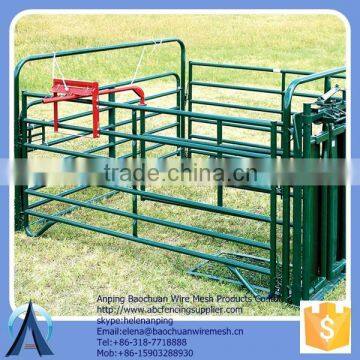 Oval Rail 4.2mm*115mm*1.6mmT wire welded cattle panels