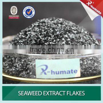 Plant growing agent Seaweed Extraction Ascophyllum Nodosum