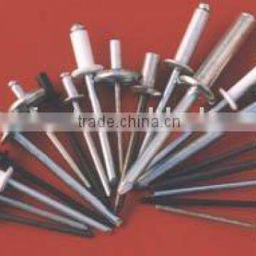 Blind Rivet/Steel Rivet/Aluminium Rivet