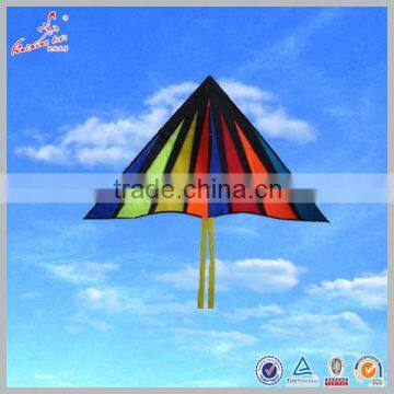 Rainbow delta kite Children kite DIY kite Funny kite