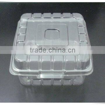 blister plastic clamshell fruit tray packaging manufacturer