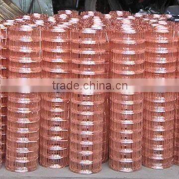 Welded Wire Mesh