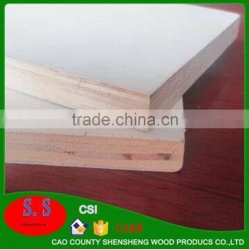 Latest Product of China 9mm-24mm Film Faced Plywood photo-4