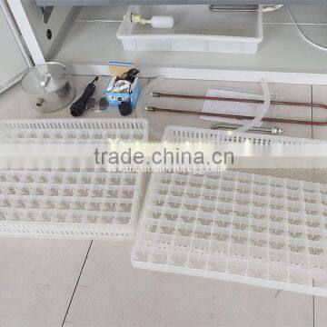 XCH-1000 Egg Incubator With Temperature Controller