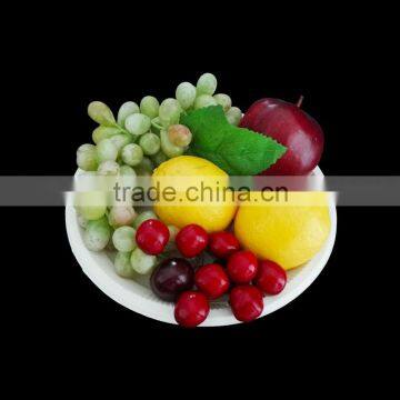 New High Quality Disposable Polystyrene Tray photo-4