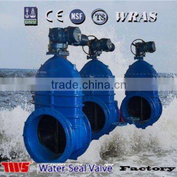 DN50~DN600, PN1.0/1.6MP Electric Gate Valve