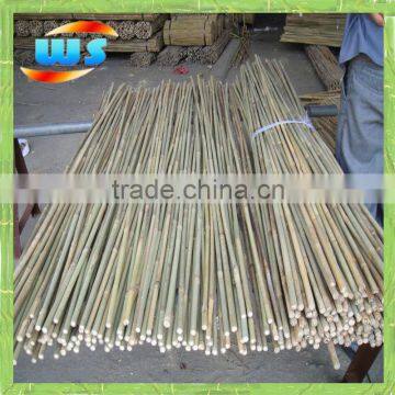 Bambu flower stick for support plant 152cm X 12/14mm