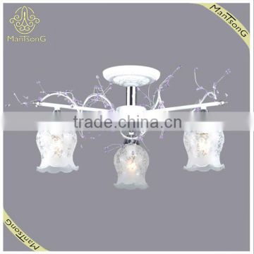 Hotel/Living Room Lighting Fixture Glass Decoration Ceiling Lamp for 3 Lamps