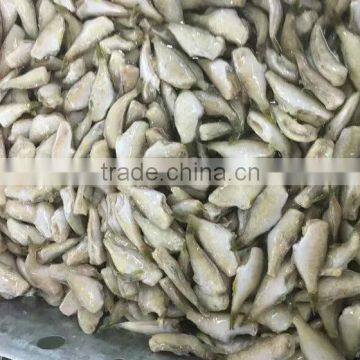 Filefish Good Packing Frozen Leather Jacket Fillet Fish