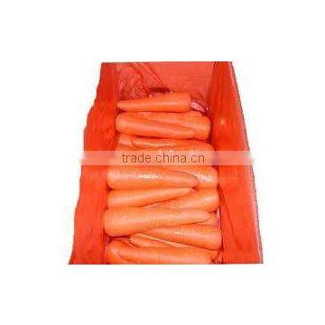 red carrot