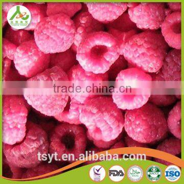 Frozen Berry Fruits/Frozen Raspberry photo-3