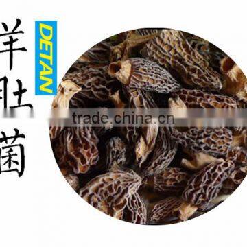 Dried Morchella Esculenta Made in China photo-5