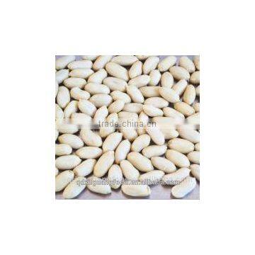 shandong long type blanched peanut kernel