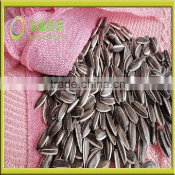 2016 new crop long shape black hulled sunflower seeds 5009