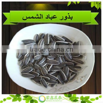 Sell High Quality 5009 Sunflower Seeds 24/68