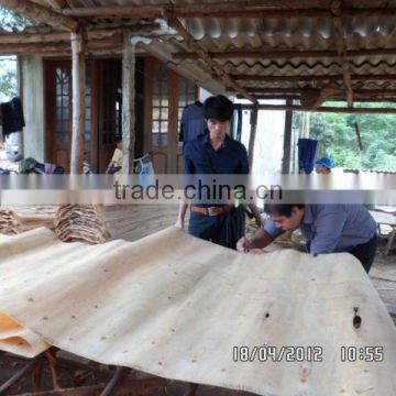 Eucalyptus Core Veneer