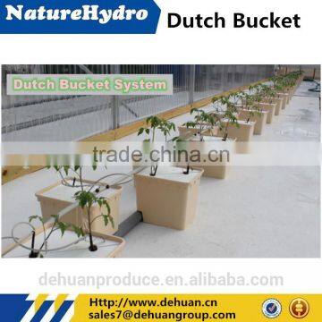 Aquaponics Dutch Bucket Growing Systems Equipment
