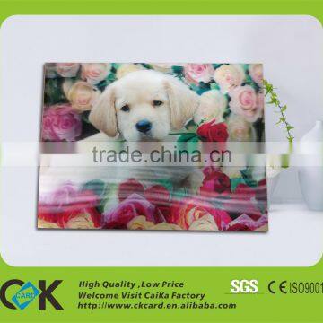 Custom-made Colorful 3d Graphic Card From Chinese Suppliers photo-3