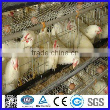 Hot dipped galvanized chicken cage