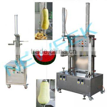 Neweek Fruit and Vegetable Peeling Papaya Wax Gourd Skin Removing Machine photo-2