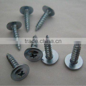 self tapping screw with all kinds of head and sizes