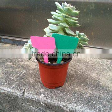 Plastic Label PVC Waterproof Gardening Label Flower Label photo-5