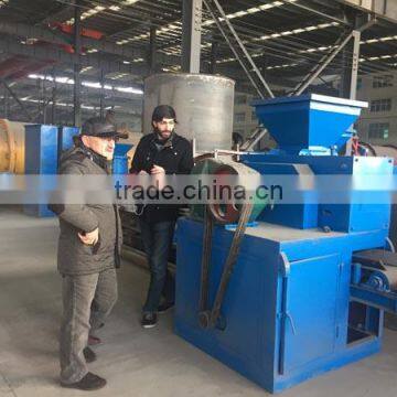 High Quality Iron Ore Briqutting Press Machine/aluminum Powder Ball Briquette Making Machine photo-2