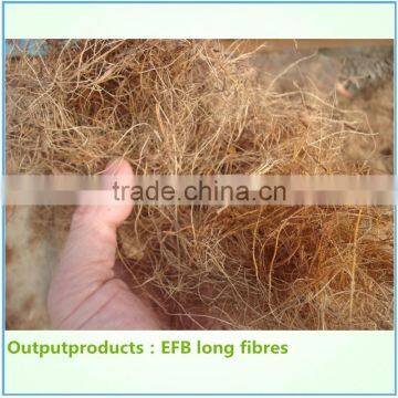 High Performance Palm Fibre Extracting Machine 75KW From China With Stable Delivery Time photo-5