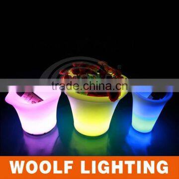 Customized Bottle Ice Buckets photo-3