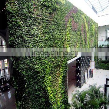 2017 Hot Sale SJZWQ-07 Artificial Plastic Rtaining Garden Wall photo-3