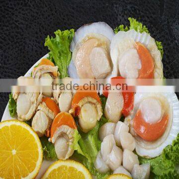 Frozen scallops adductor