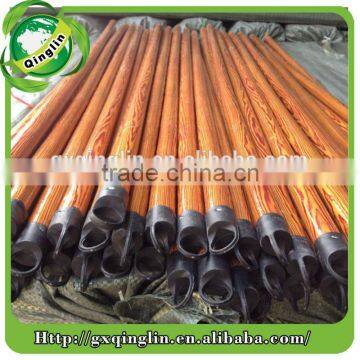 Eucalyptus Broomstick photo-3