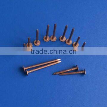 Copper Square Boat Nails photo-2