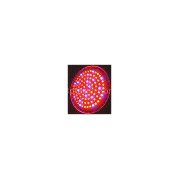 300W300*1W50, 000 Hours Lifespan 8:1 Ratio Of Red / Blue High Power LED Grow Lights