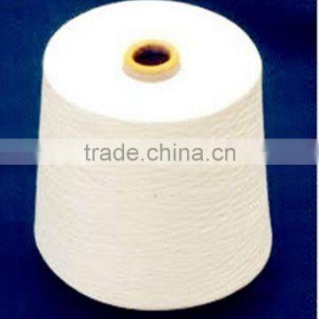 Polyester Spun Yarn 30/1