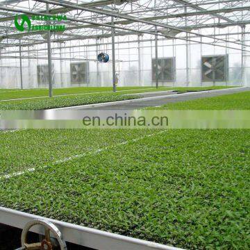Nursery Equipment Planting Table Greenhouse For Agricultural