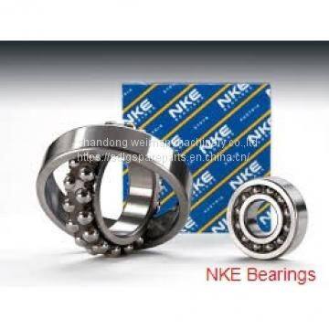 NKE Bearing