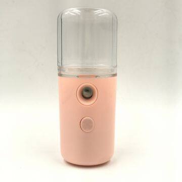 30ml Water Tank Home Travel Use Beauty Tool Nano Mist Spray Mini Face SPA Facial Steamer