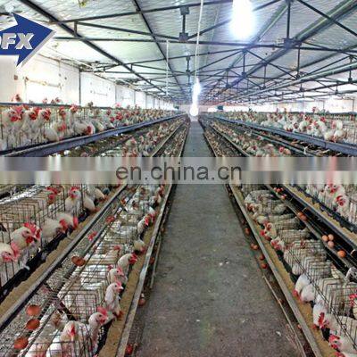 China Best Supplier Steel Frame Layer Egg Chicken Cage Poultry Farm Construction House Design for Sale in Kenya photo-4