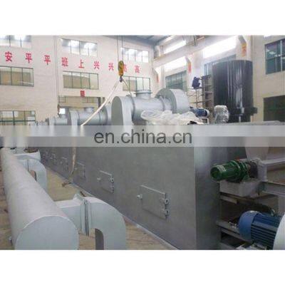 Hot sale DW series mesh raisin band dryer for chemical industry