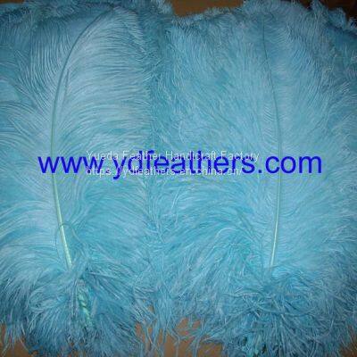 Ostrich Feather Plume Dyed Blue From China